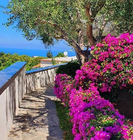 Appartamenti Luongo Forio di Ischia Exteriör bild