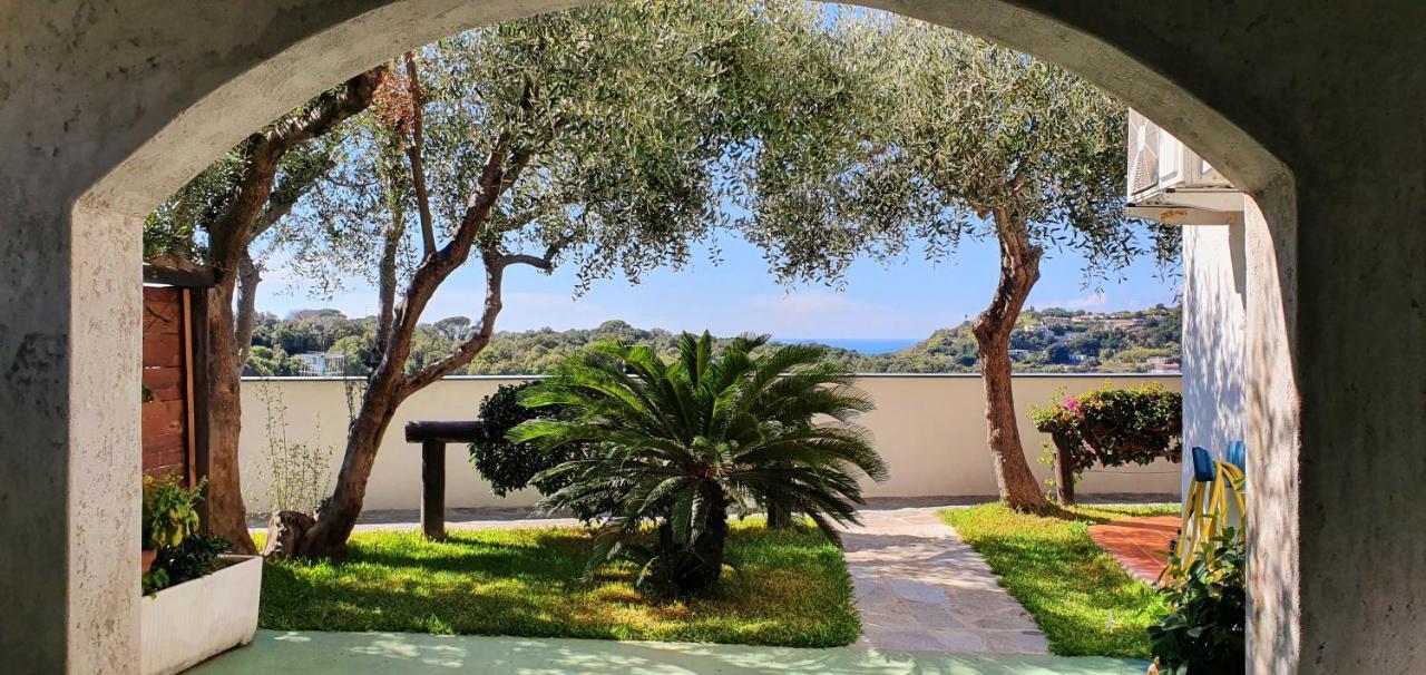 Appartamenti Luongo Forio di Ischia Exteriör bild