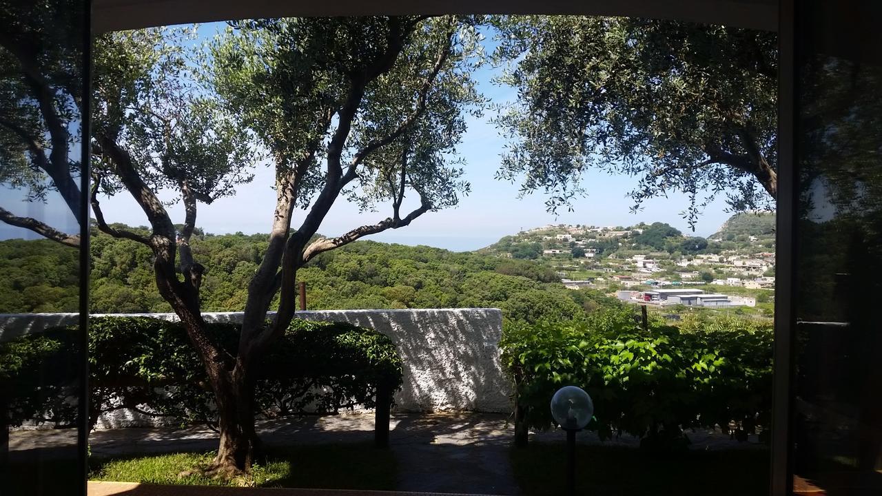 Appartamenti Luongo Forio di Ischia Exteriör bild