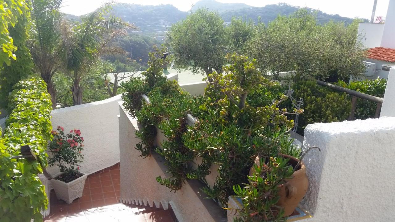 Appartamenti Luongo Forio di Ischia Exteriör bild