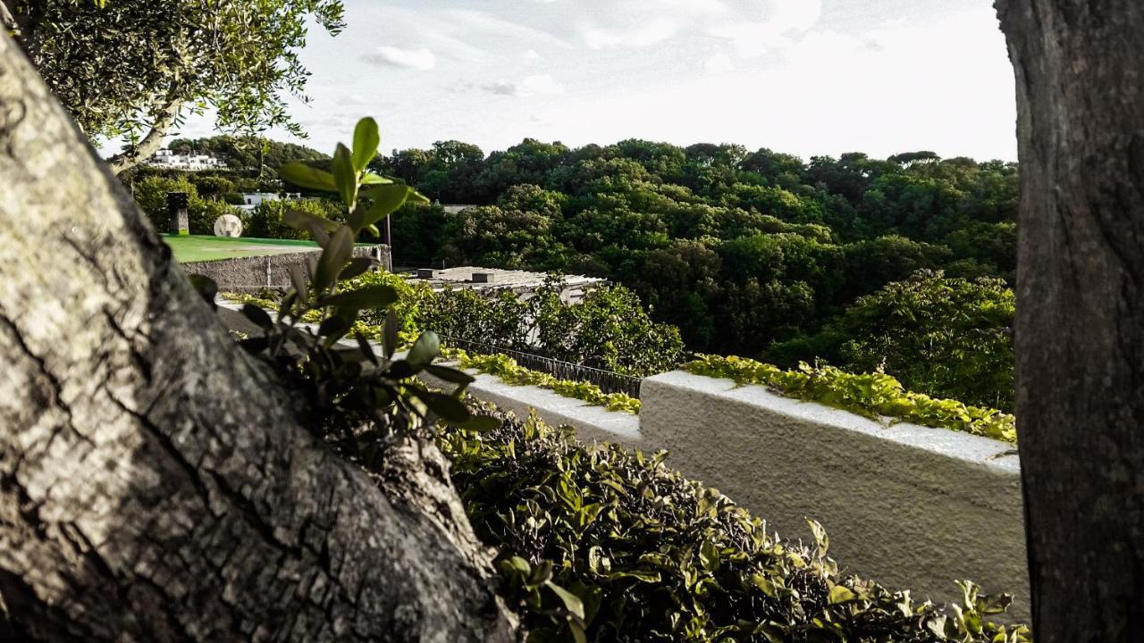 Appartamenti Luongo Forio di Ischia Exteriör bild