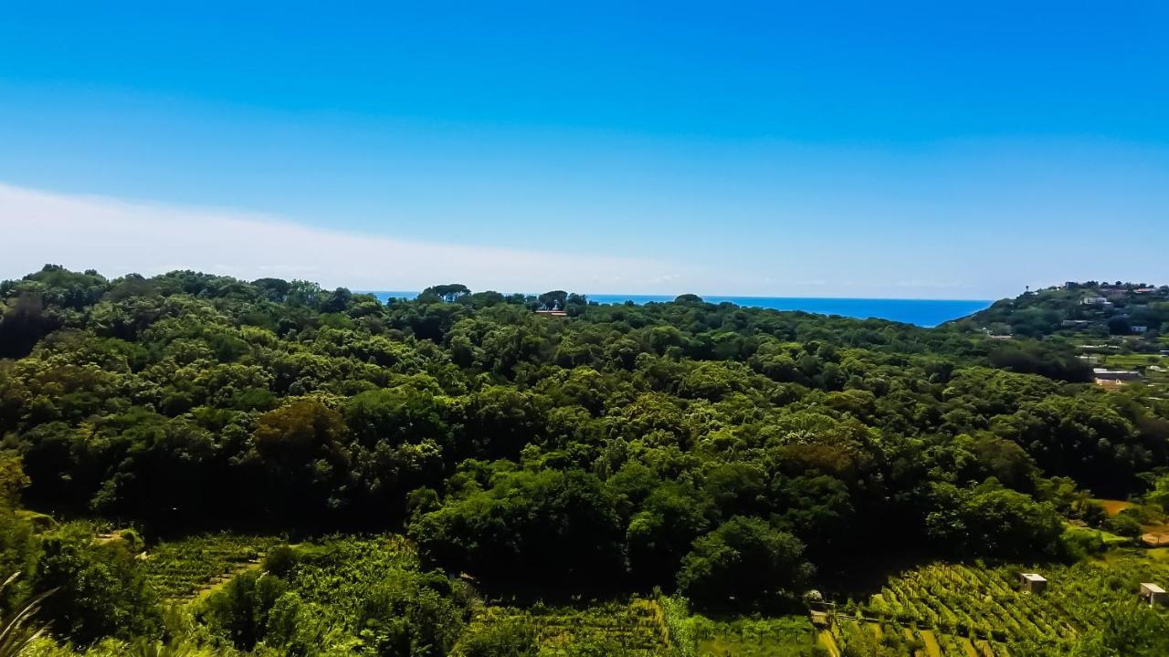 Appartamenti Luongo Forio di Ischia Exteriör bild