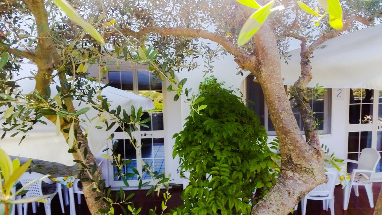 Appartamenti Luongo Forio di Ischia Exteriör bild