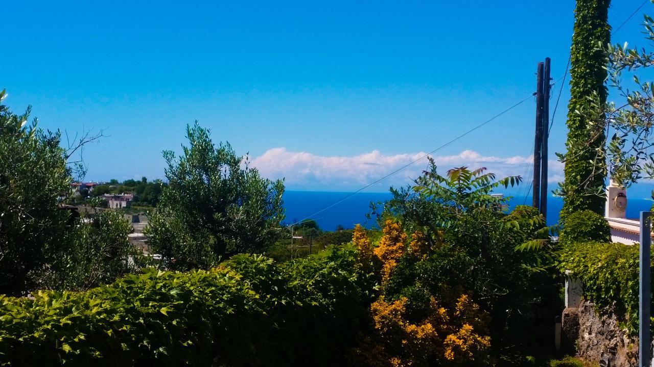Appartamenti Luongo Forio di Ischia Exteriör bild